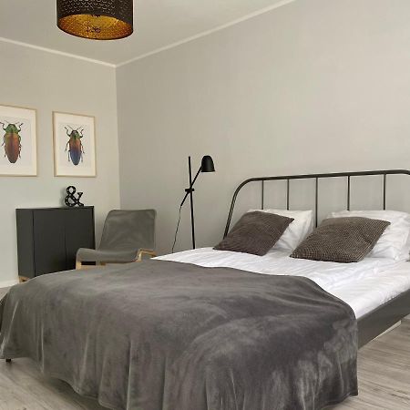 Apartament Kilinskiego 9 Швидница Екстериор снимка