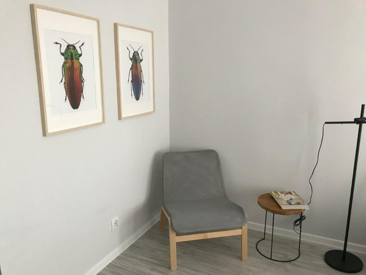 Apartament Kilinskiego 9 Швидница Екстериор снимка